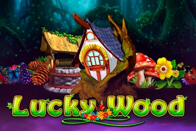 Слот Lucky Wood МелБет Казино